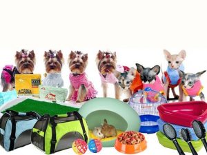 Зарабатывайте с нашей партнерской программой в категории Товары для животных