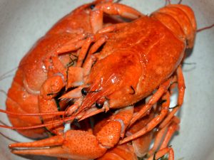 Зарабатывайте с нашей партнерской программой в категории Раки вареные