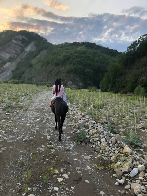 Катание на лошадях