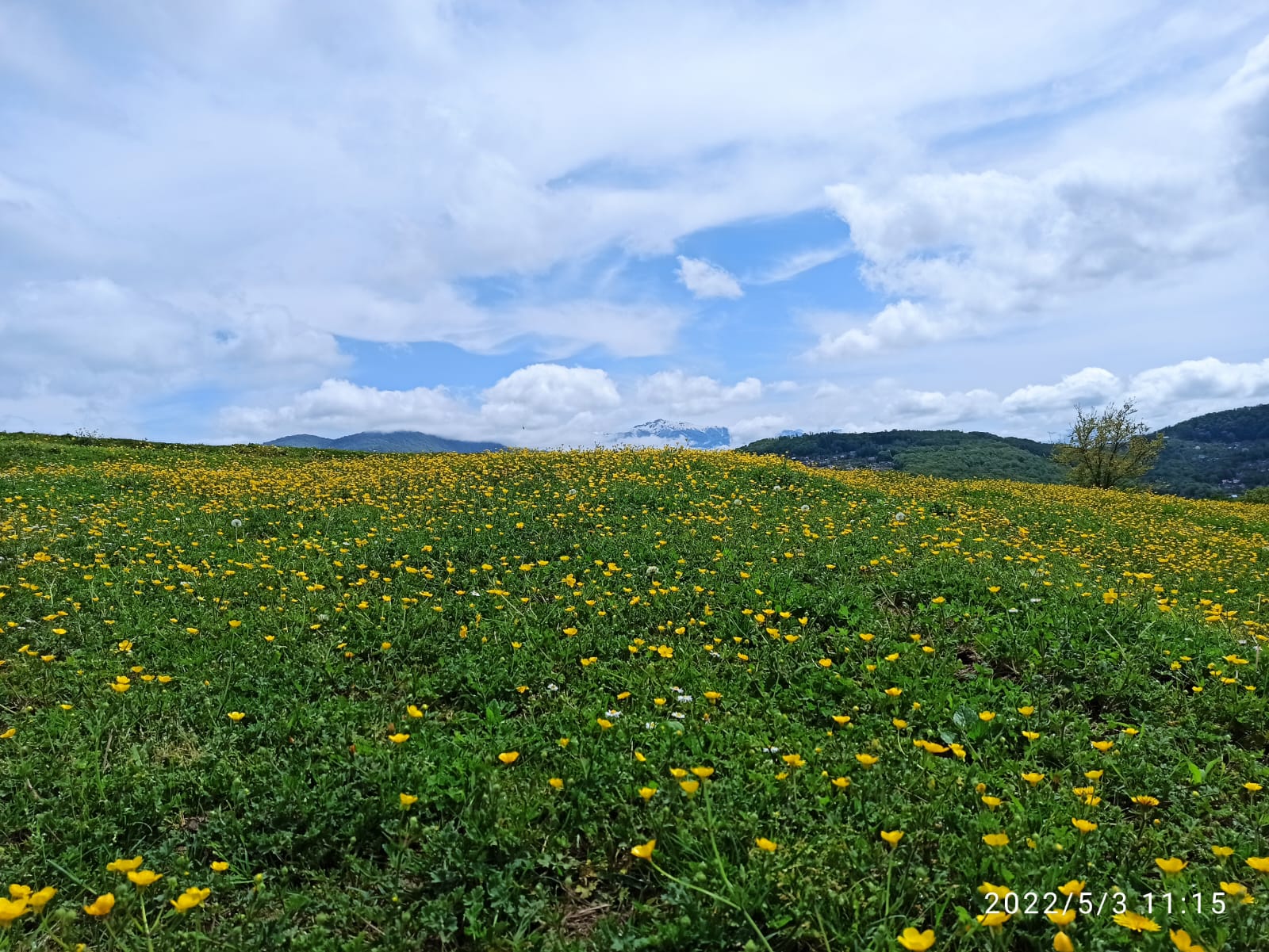 Виды конные прогулки Сухой Каньон Витязево
