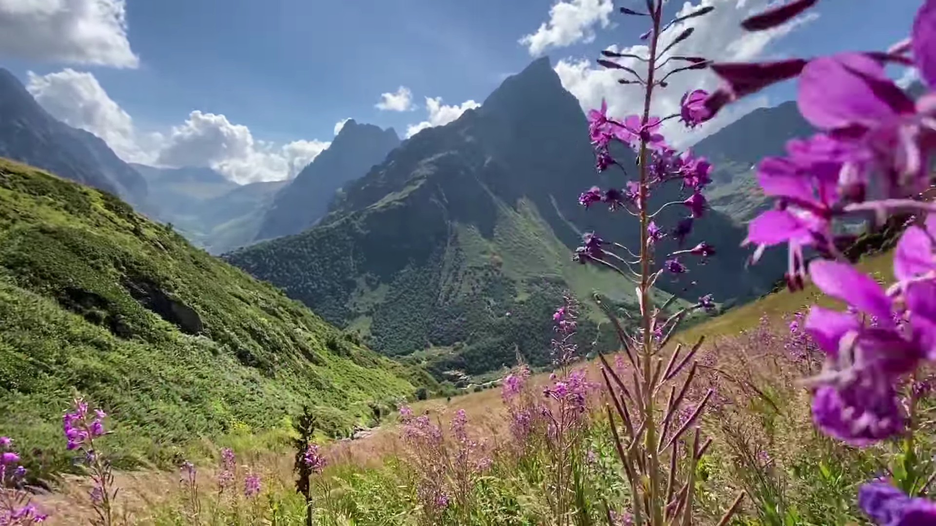Катание на лошадях