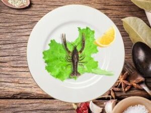 Раки живые S