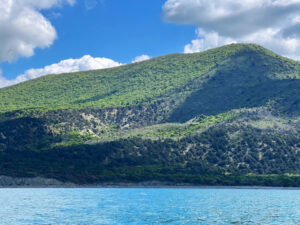 Сокращённая морская экскурсия на 1 час